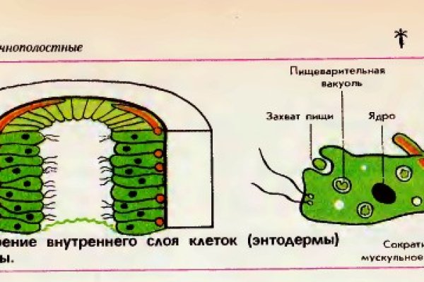 Сайт кракен kraken krakens15 at