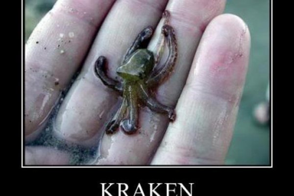 Kraken biz