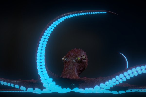 Kraken onion вход